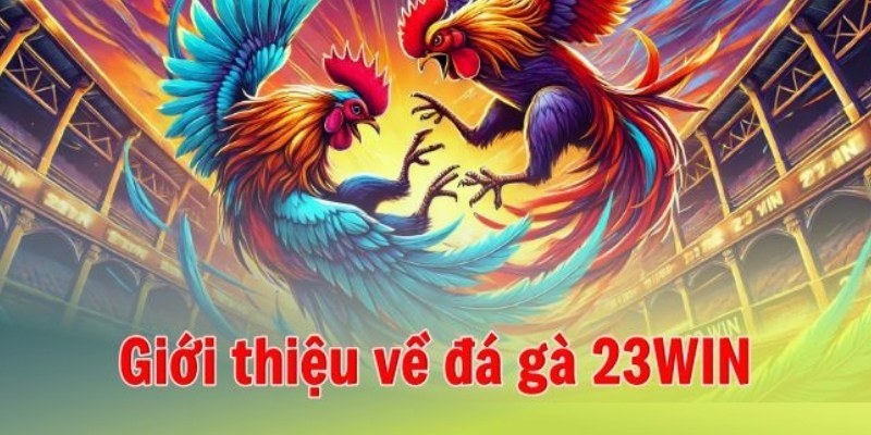Đá Gà 23WIN – Đấu Trường Danh Giá Của Những Chiến Kê Thượng Hạng 1 danh-muc-cuoc-da-ga-23WIN